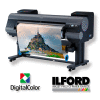 fotografie na Ilford Gold Fibre Silk 310g (A2)